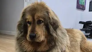 Breaking News: Denali Gained 4 pounds