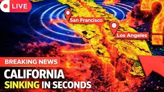 BREAKING NEWS: Florida’s Coastline Collapsing Rapidly — Scientists Issue Urgent Warning