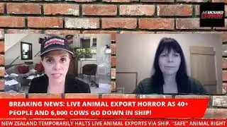 BREAKING NEWS: HORROR & DEATH. 43 CREW and 6,000 COWS in LIVE ANIMAL EXPORT SHIP that CAPSIZES!