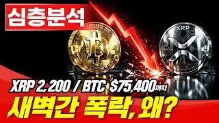 [Breaking News] Is the 1-Day Crash a Foreseen Warning? #XRP