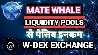Breaking news meta whale me जाकर पैसिव इनकम काम सकते है#jitendramlmtech #