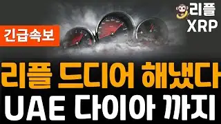 ※Breaking News※ Ripple XRP is crazy! Even UAE diamonds!!