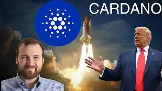 Breaking News USDC Now Available On Cardano!