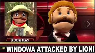 Breaking news windowa has got attacked by a lion