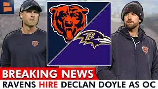 🚨BREAKING: Ravens Hire Bears Declan Doyle As Offensive Coordinator