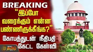 #BREAKING || supreme court | "இப்போ வரைக்கும் என்ன பண்ணிருக்கீங்க?" - நீதிபதி கேட்ட கேள்வி