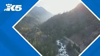 BREAKING: Travis Decker