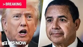 BREAKING: Trump pardons Dem Rep. Henry Cuellar