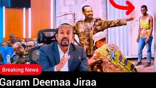 #breakingnews Sept/15/2025,Garam Deema Jiraa