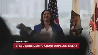 Breed considering a run for Pelosi