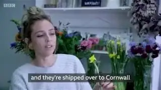 Brexit Will the flower industry wilt or bloom