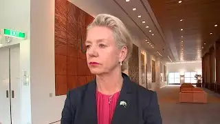 Bridget McKenzie not ruling out resigning amid Coalition split on Labor’s hate laws
