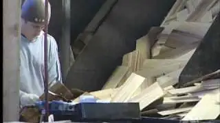 Brighter Future for Forestry?