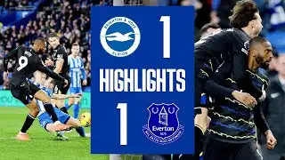 BRIGHTON & HOVE ALBION 1-1 EVERTON | Premier League highlights