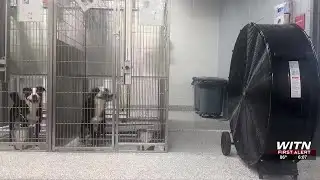 Broken AC unit fixed at Onslow County Animal Services after it broke Saturday