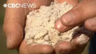 Brokenhead holds referendum on deal with sand-mining company