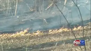 Brush fire breaks out at Newport park