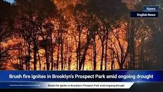 Brush fire ignites in Brooklyn’s Prospect Park amid ongoing drought