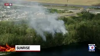 Brush fire ignites in Sunrise