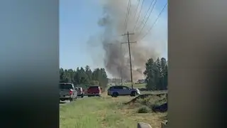 Brush fire in Colbert grows to 45 acres, forward progress stopped