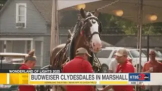 Budweiser Clydesdales coming to Marshall
