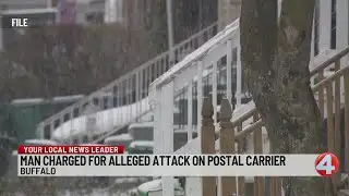 Buffalo man indicted, charged with attacking postal carrier