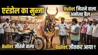 एरंडोल का मुन्ना | Bullet जीतने वाला अनोखा बैल | Jalgaon Animal Fair