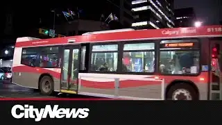 Buses back to normal schedule in Calgary
