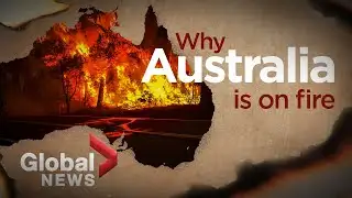 Bushfires in Australia: What ignited the deadly crisis