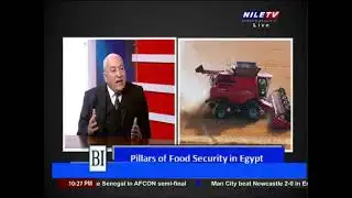 Business Insider 14 1 2026 Dr  Ahmed Bayoumi