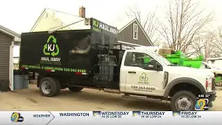 Business to collect Christmas trees for free