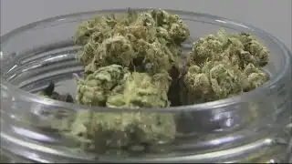 Businesses react to Trump