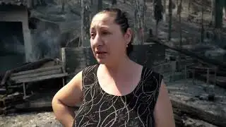 Businesses reel after wildfire sweeps through Patras, Greece | REUTERS