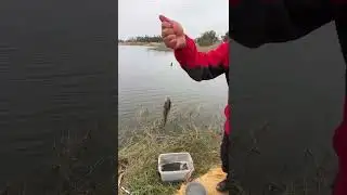 But why is there no news