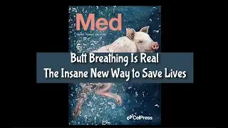 Butt Breathing Is Real – The Insane New Way to Save Lives
