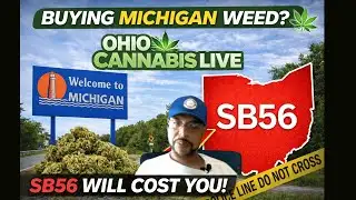 BUYING WEED FROM MICHIGAN? NEW OHIO LAW MAKES IT ILLEGAL HERE’S WHAT YOU NEED TO KNOW 