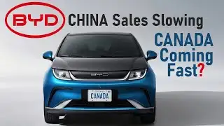 BYD Update - China Sales Slowing, Canada Sales Coming Fast?
