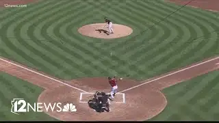 Cactus league attendance rose in 2024