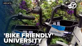 Cal Poly Humboldt named a bicycle friendly university