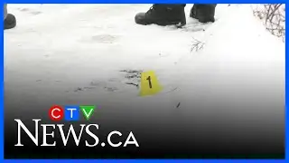 Calgary homicide rate drops to decade low in 2025