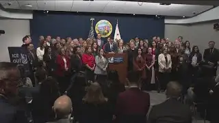 California Democrats pushing wave of bills aimed at limiting ICE activity in state