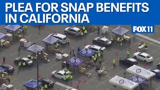 California lawmakers make new plea for SNAP benefits  | FOX 11 LA