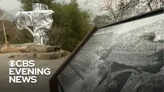 California wildfires threaten giant sequoia trees