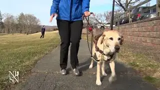 Calling out discrimination against people who use guide dogs