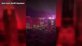 Camels and zebras roam I-69 after trailer fire forces closure