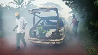 Cameroon, The Jungle