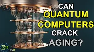 Can Quantum Computers Crack Aging? | Longevity Science News