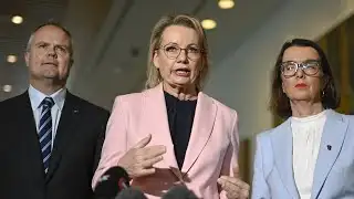 ‘Can’t dodge this decision’: Coalition should demote net zero to ‘some kind of aspiration’