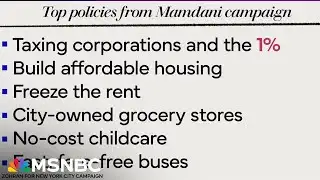 Can Zohran Mamdani make his progressive vision a reality?