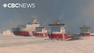 Canadian navy exploring amphibious landing ship concepts